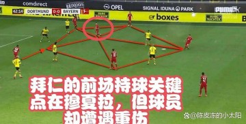 拜仁这是玩真的？不争德甲冠军的南大王，球迷还怎么磕下去！