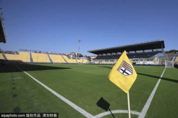 雷纳即将加盟帕尔马！多特蒙德的年轻天才为何成为意甲新宠？