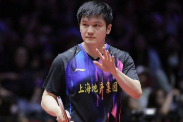 德国媒体透露：樊振东参加德甲时间初定，门票备受追捧