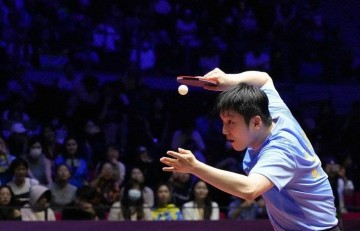 樊振东下半年真的“活”了！德甲开售立马售罄，热情根本挡不住